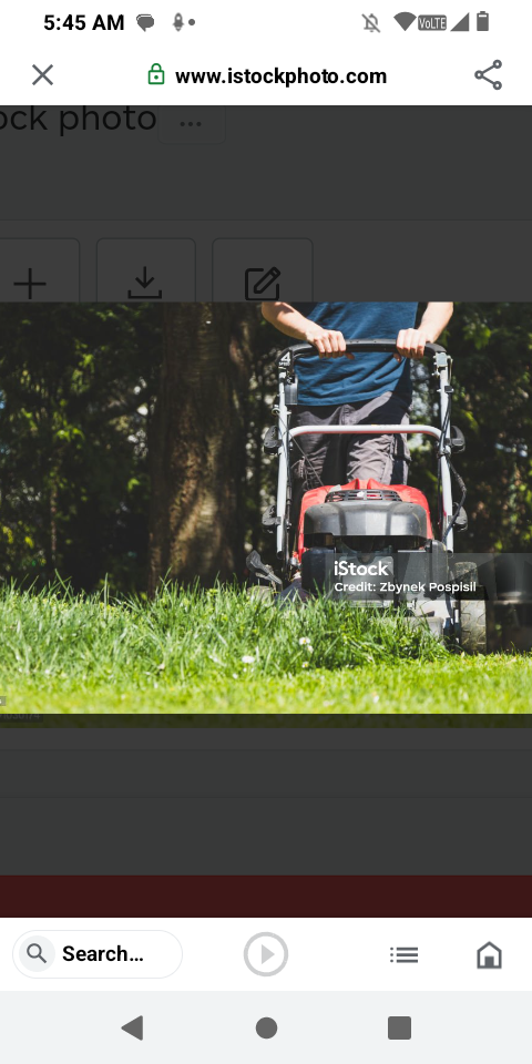 Avatar for SchmuckyD's Lawn and yard care