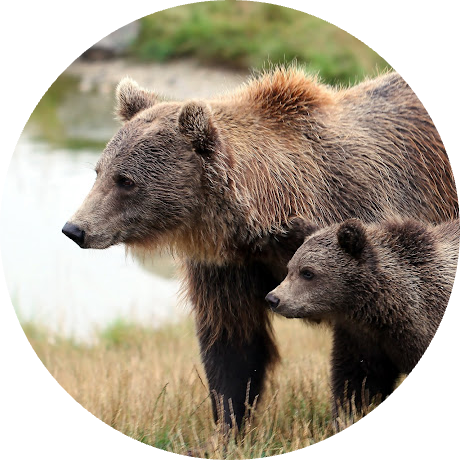 Avatar for Bayer&Sonz