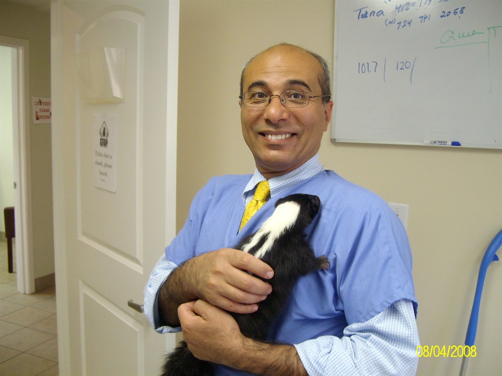 Exotic Animal
