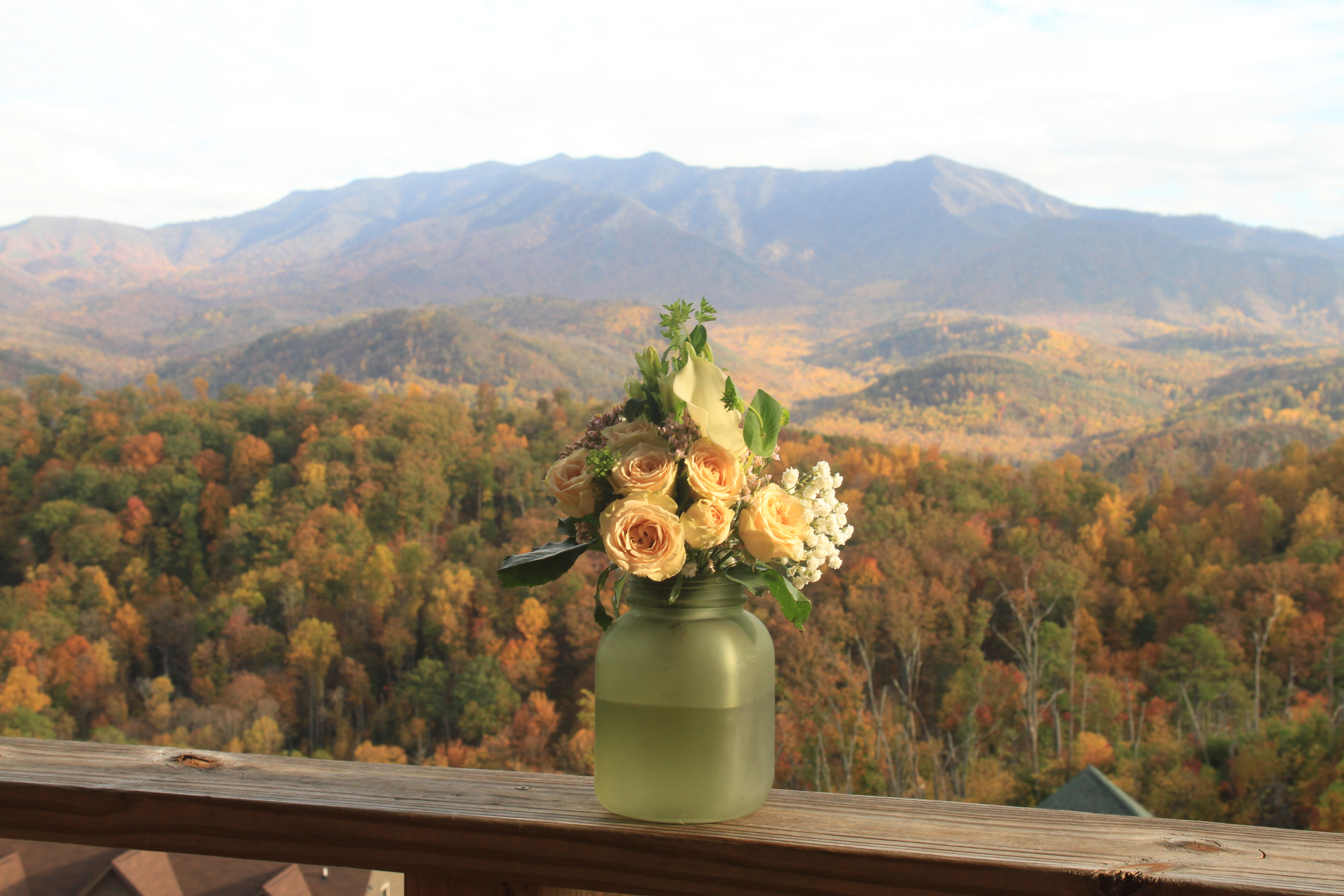 Avatar for Southern Comfort Cleaning