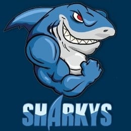 Logo for Sharky's Auto Glass