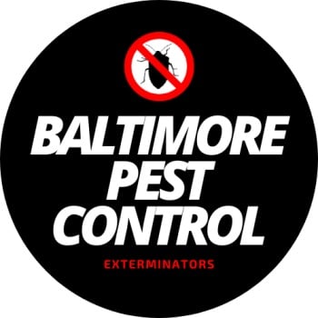 Avatar for Baltimore Pest Control Exterminators