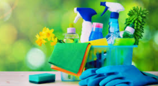 Avatar for Reset Cleaning