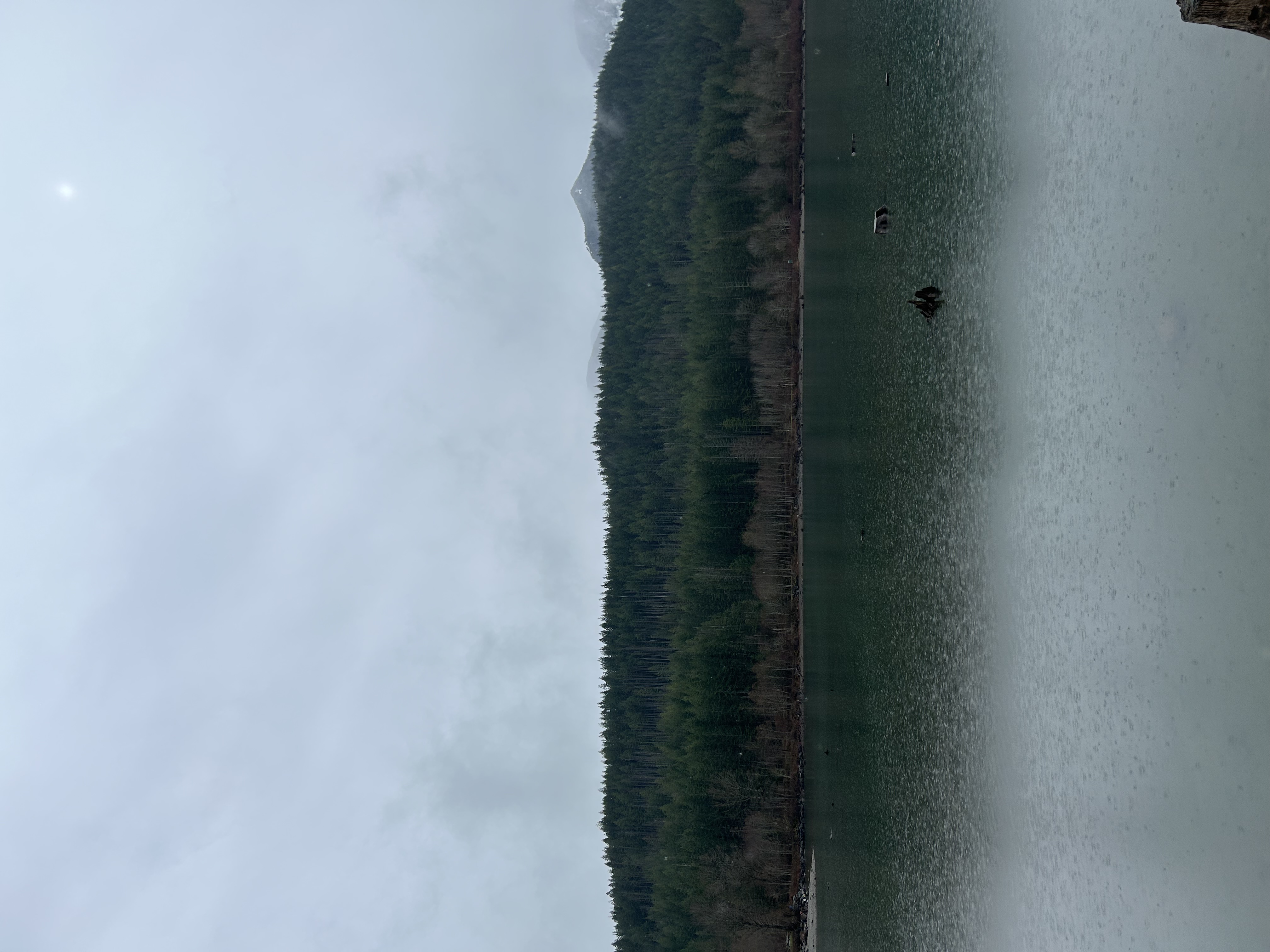 Avatar for Woods pressure washing & gutter cleaning services 