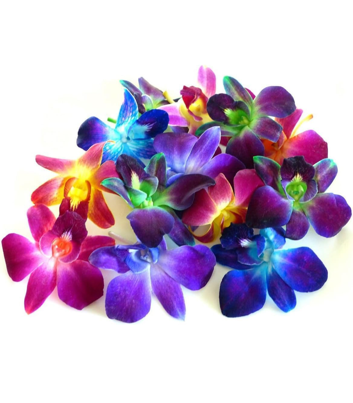 Avatar for Mannythings!