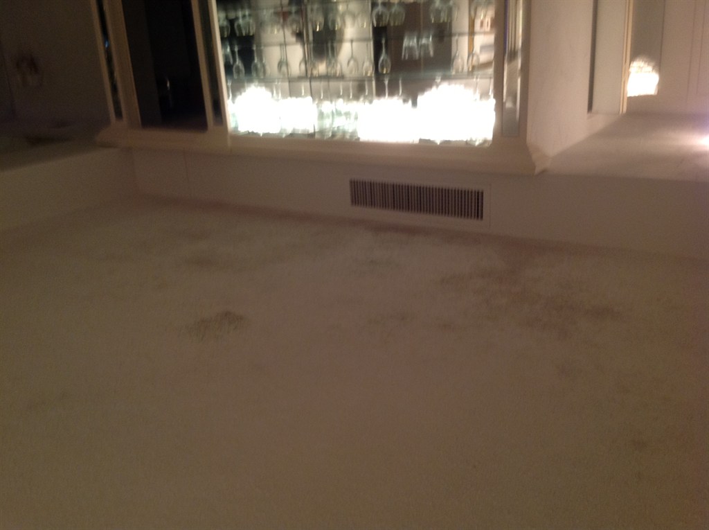 Carpet Cleaning