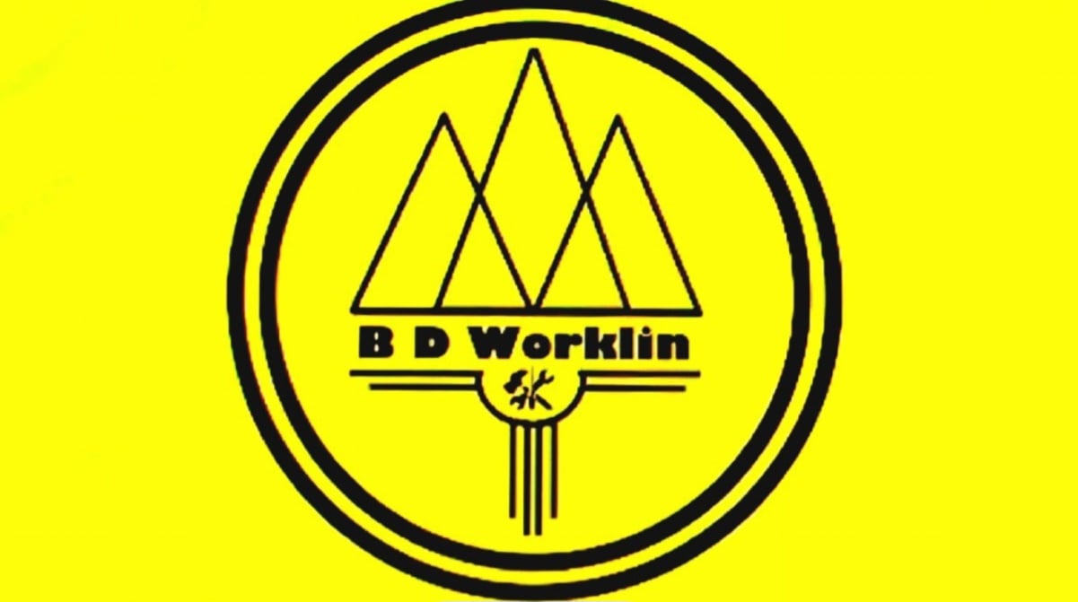 Avatar for B D Worklin LLC