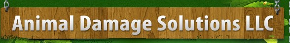 Avatar for Animal Damage Solutions LLC