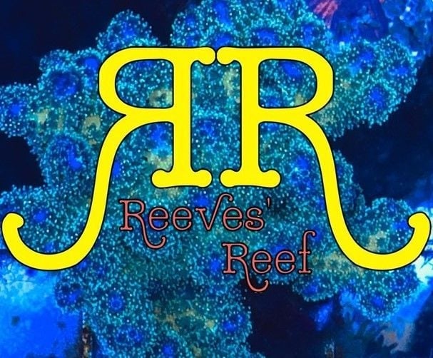 Avatar for Reeves Reef