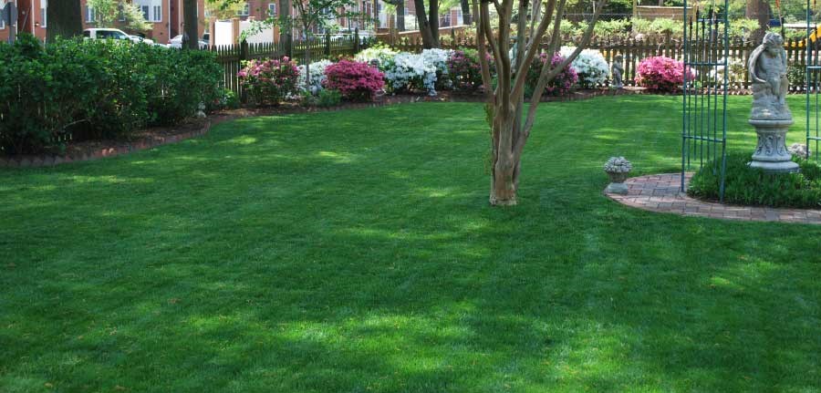 Avatar for Serenity Lawn Care Service Boise Idaho