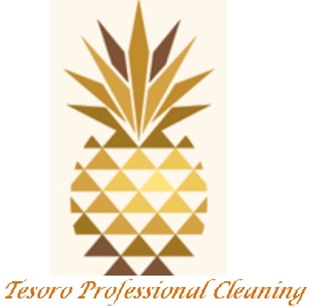 Tesoro Professional Cleaning logo
