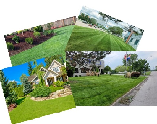 Avatar for Fiore Enterprises Inc