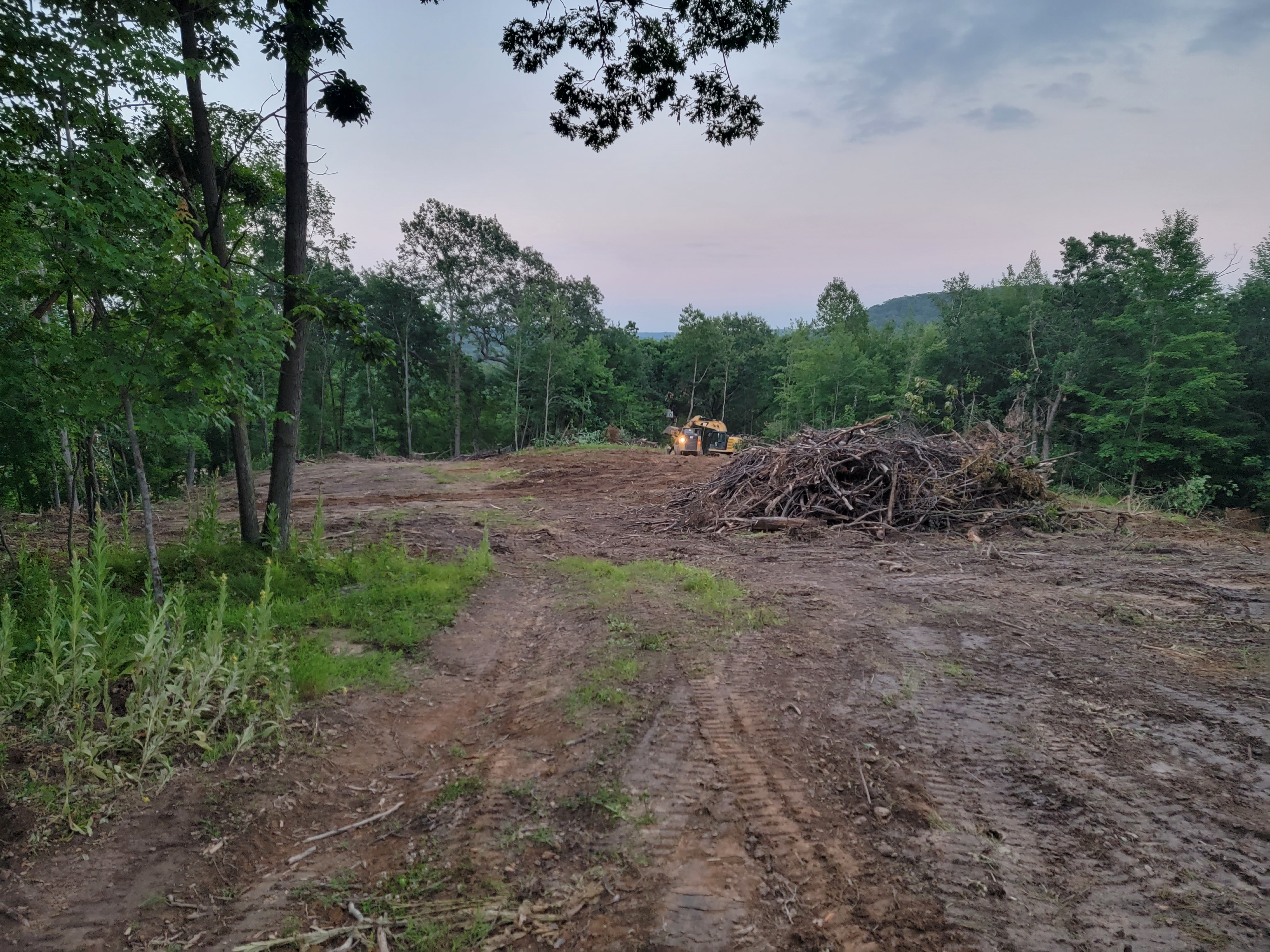 Avatar for King Excavation 