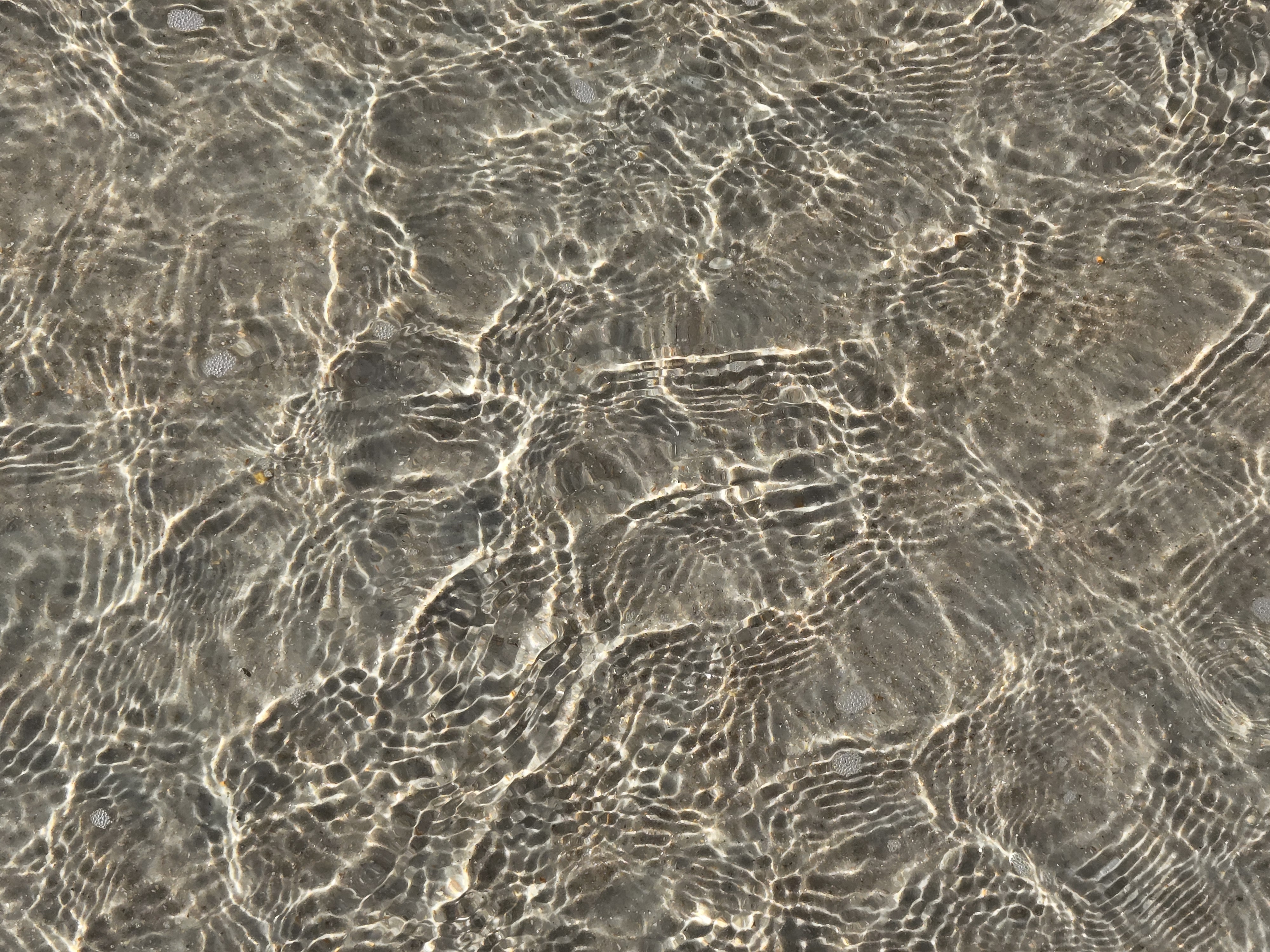 Avatar for The Water Czar