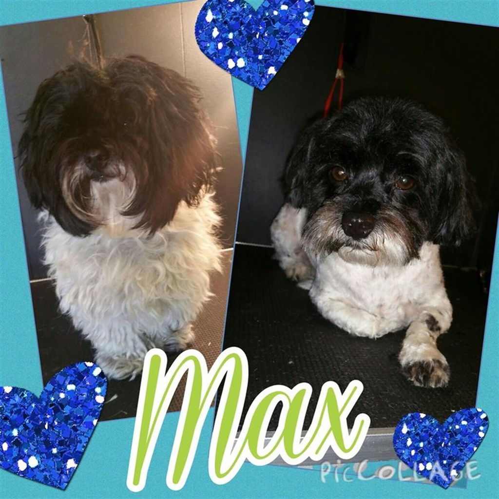 Max