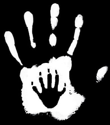 Avatar for Affordable Wildlife Solutions