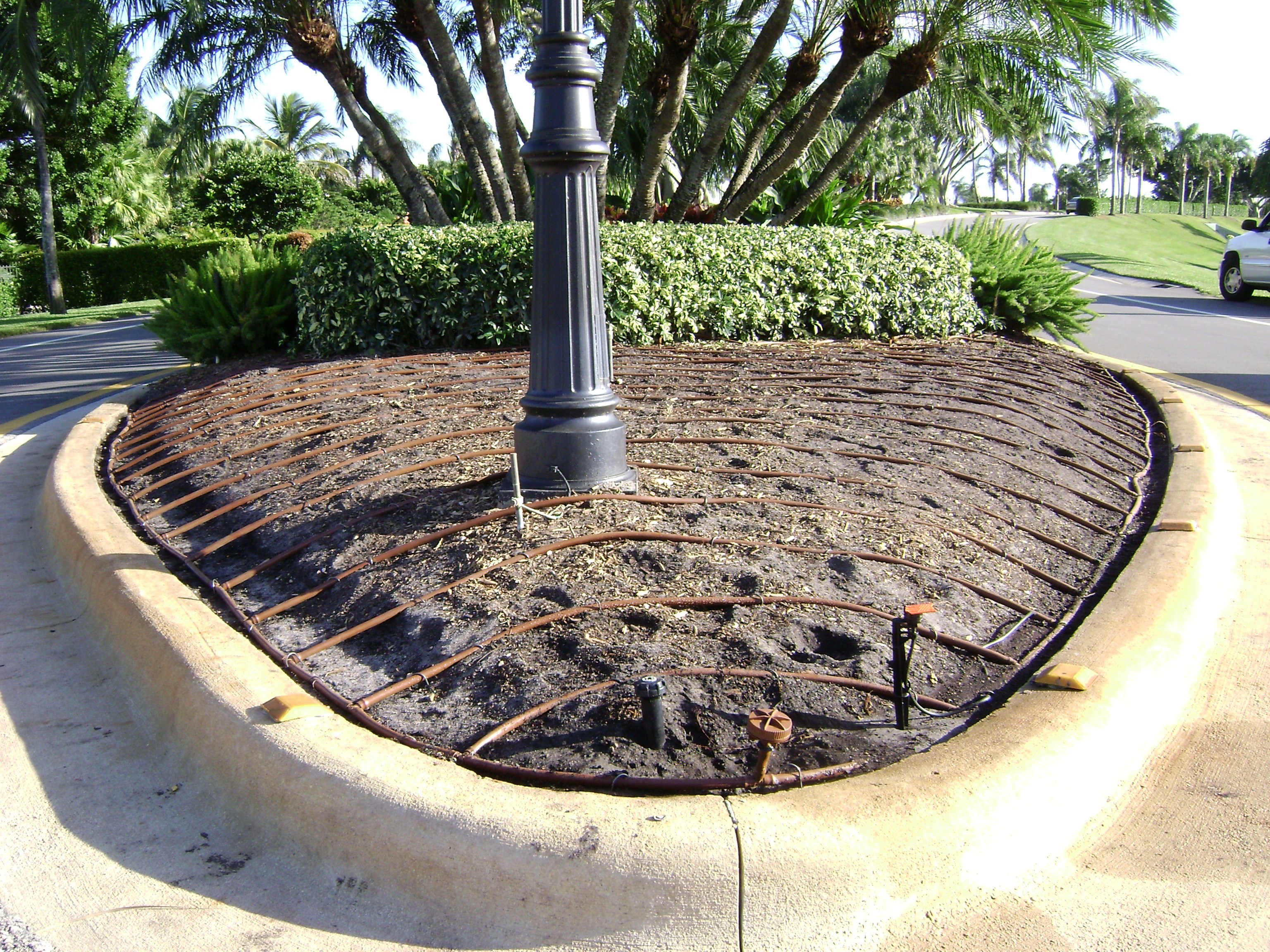 Avatar for Treasure Coast Irrigation & Landscape, LLC
