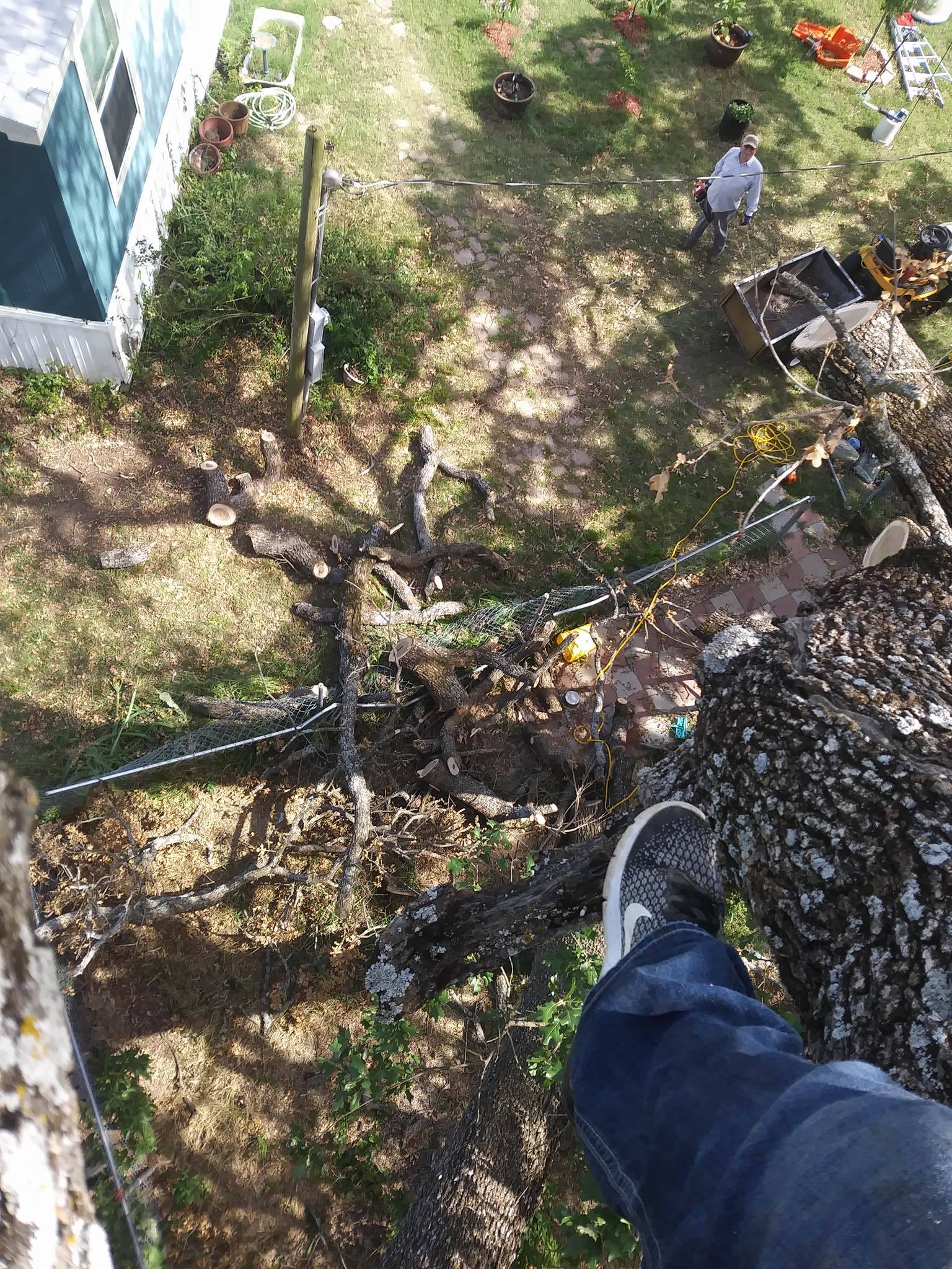 Avatar for We do it all tree trimming,removal,landscape,and irrigation srvs.