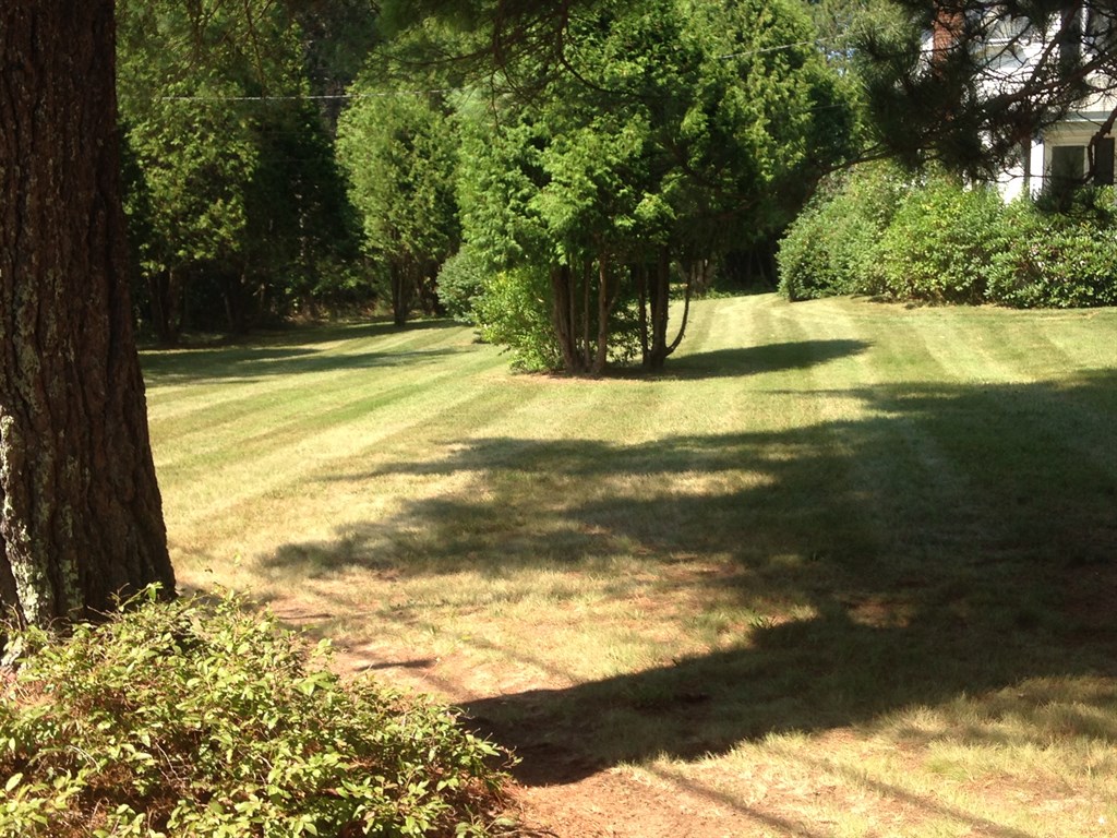 Lawn Mowing 