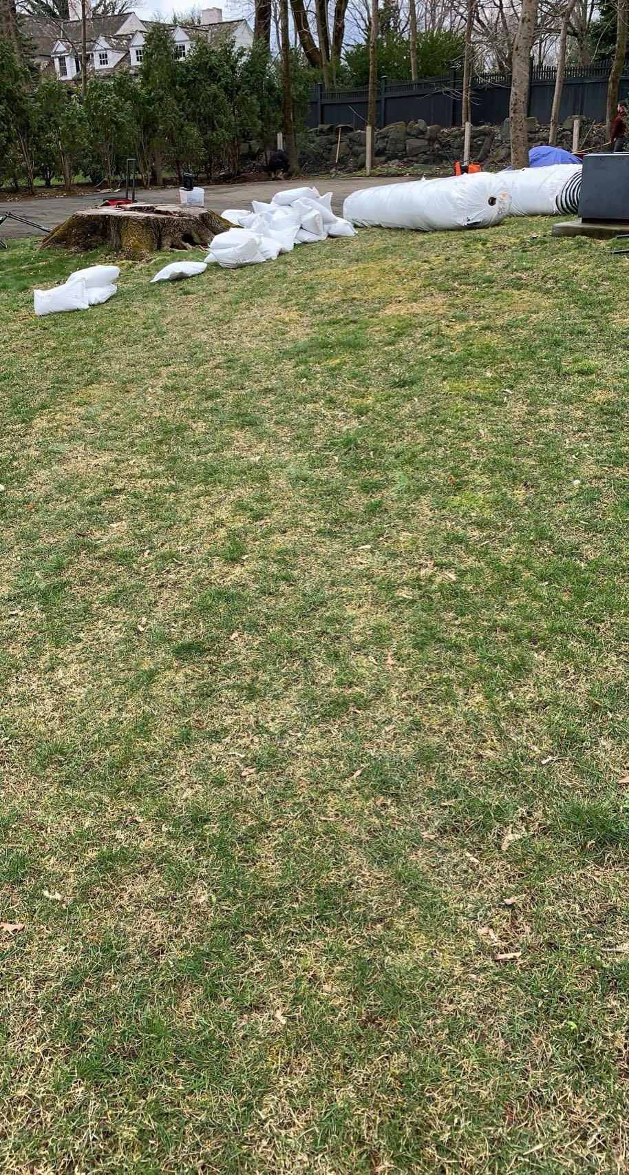 Avatar for Universal man 