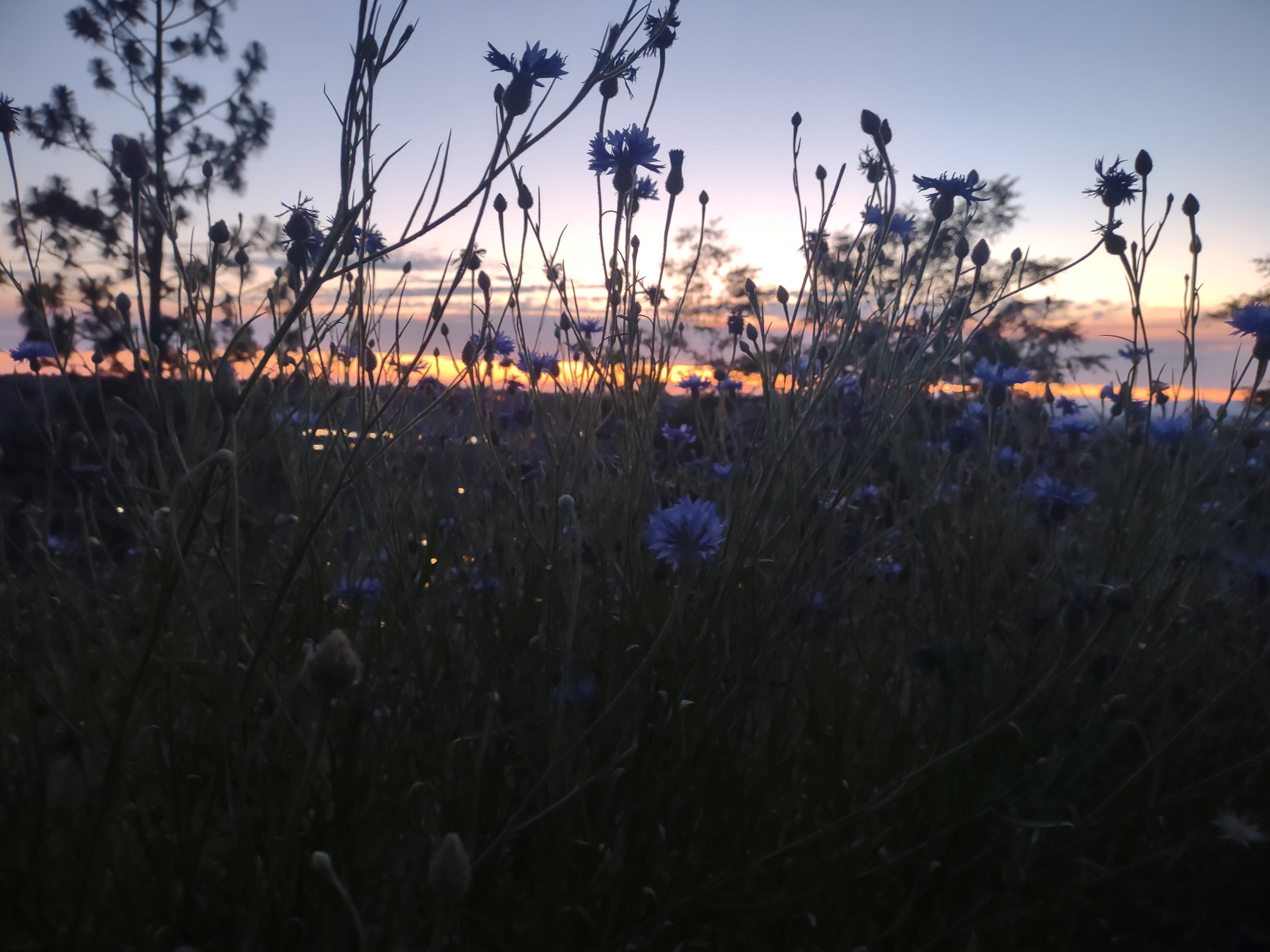 Avatar for David Binger