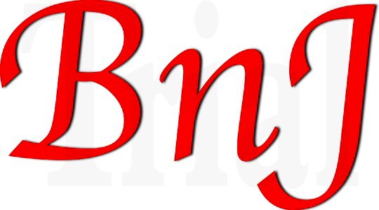 Logo for BnJ Luggage Repair