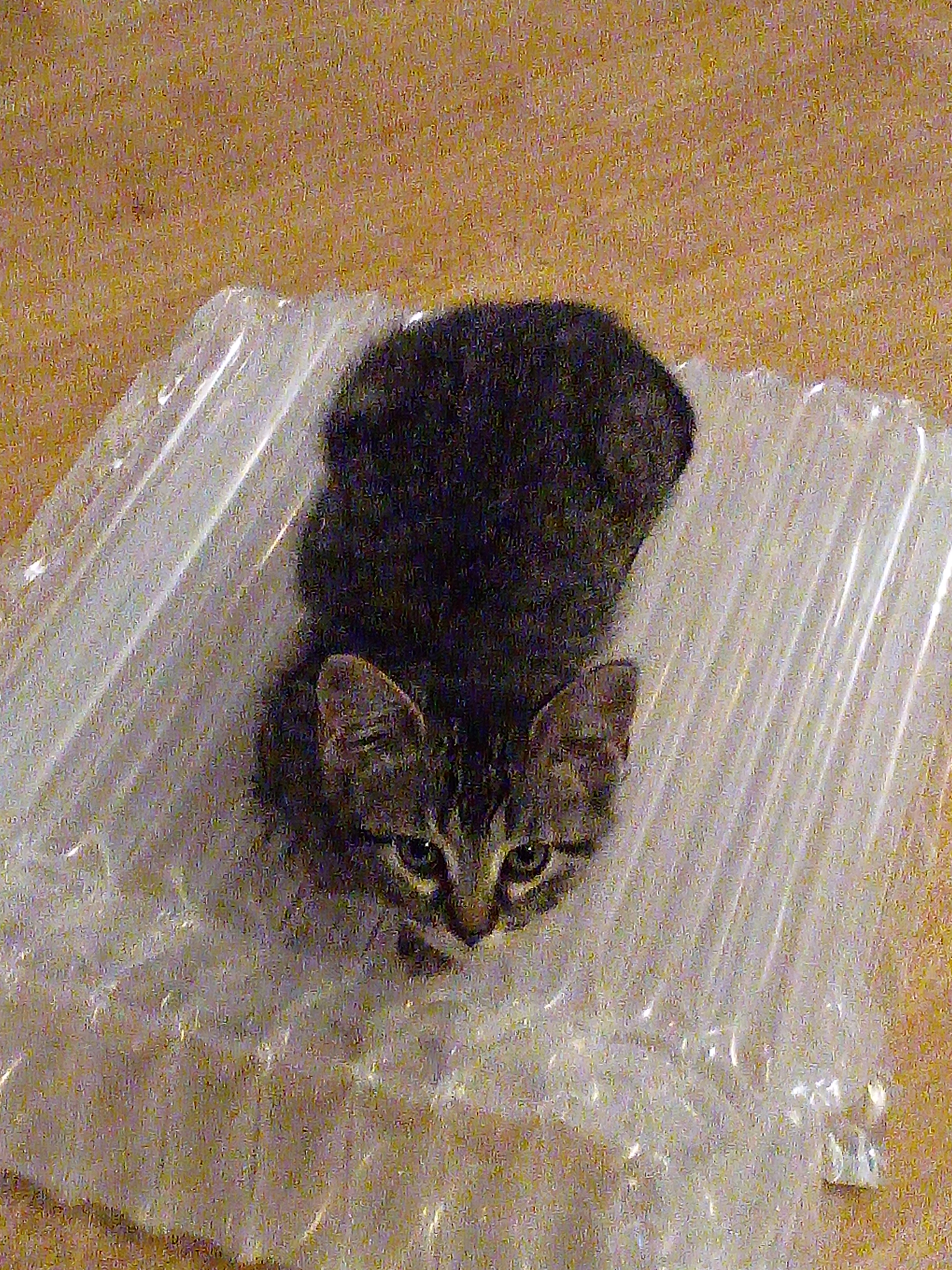 Avatar for Timothy Bartusiak