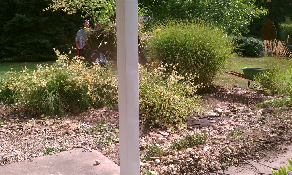 pond1