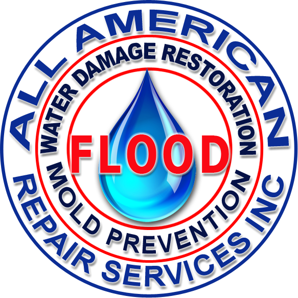 Avatar for ALL AMERICAN CARPET SERVICES