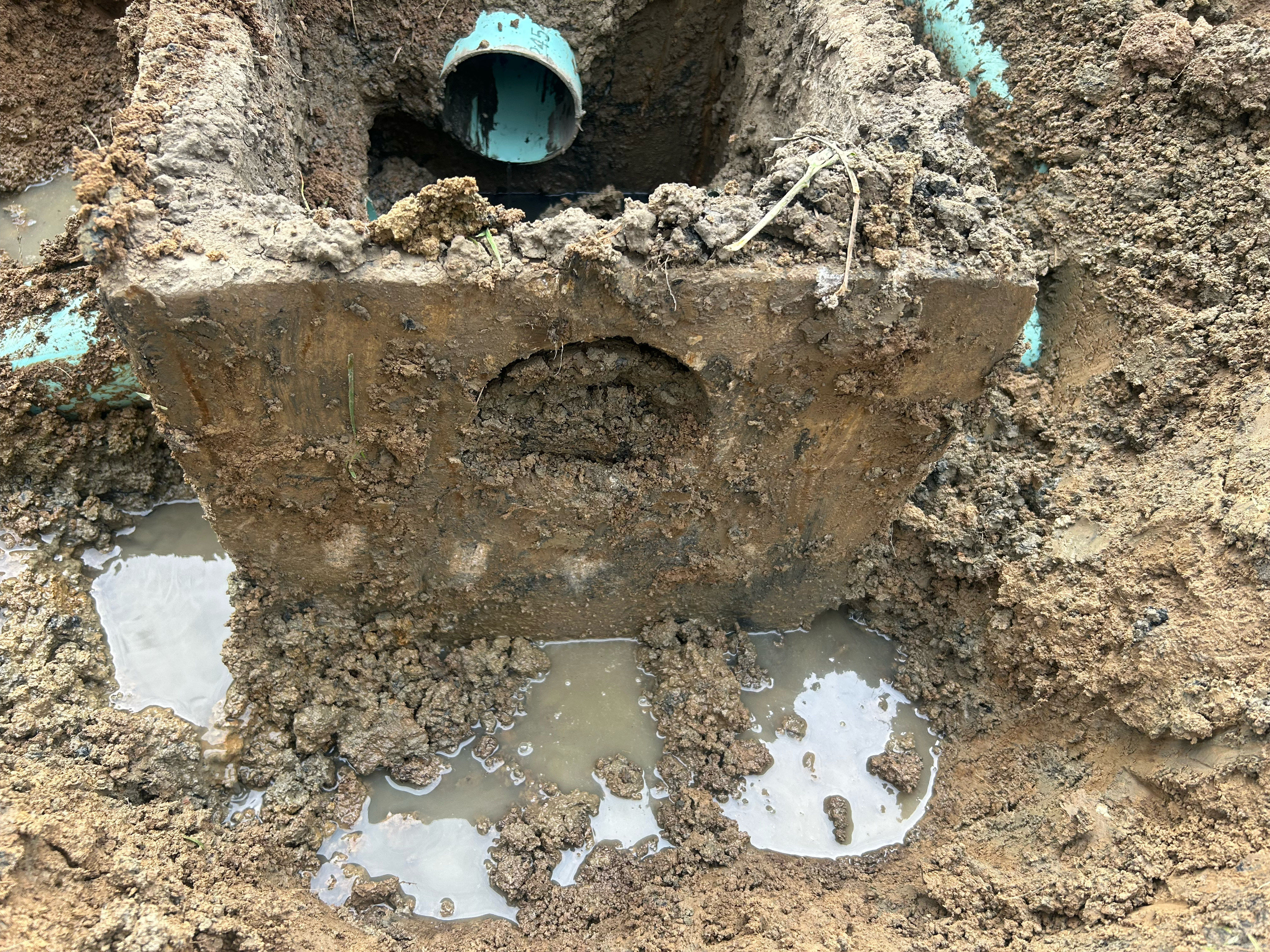 Statewide Septic Solutions Reviews Richmond, KY Angi