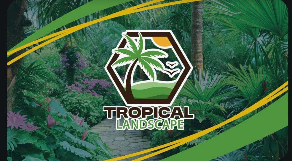 Avatar for Tropical landscape