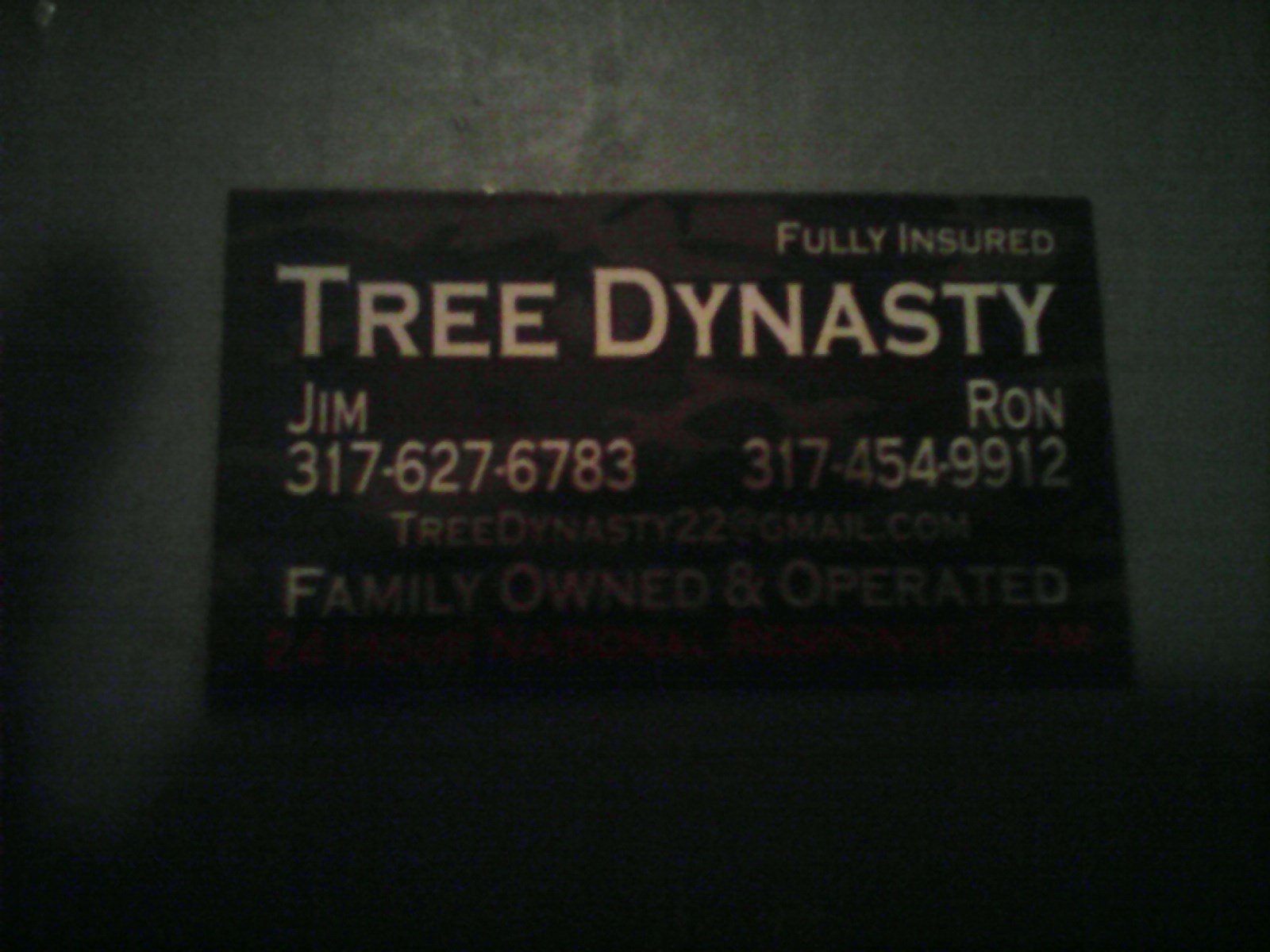 Logo for Tree Dynasty