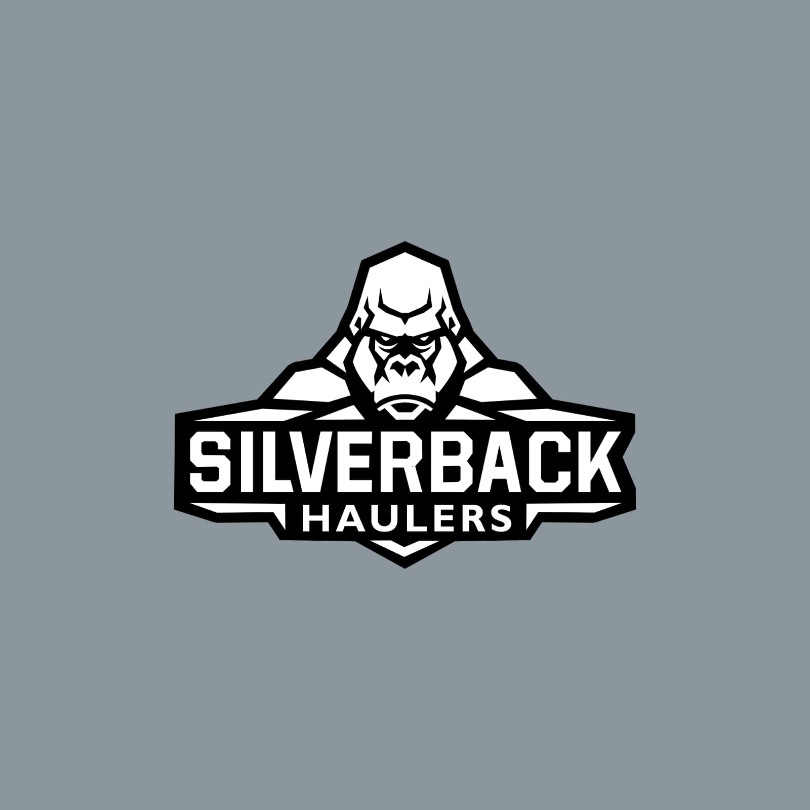 Avatar for Silverback Haulers 