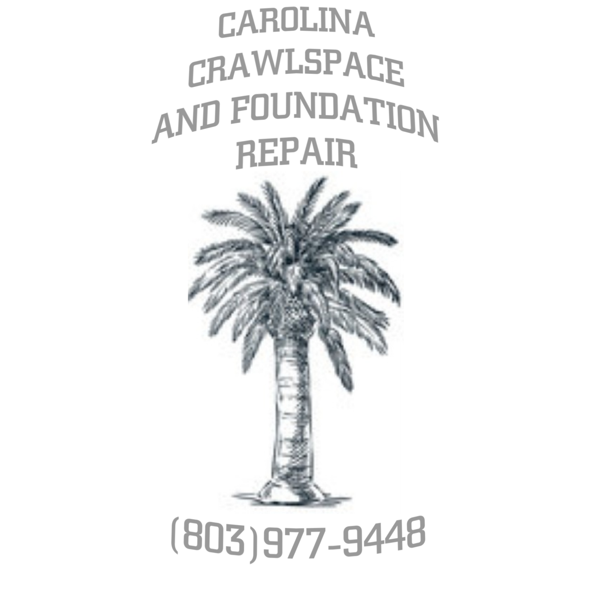 Avatar for CAROLINA CRAWLSPACE AND FOUNDATION LLC 