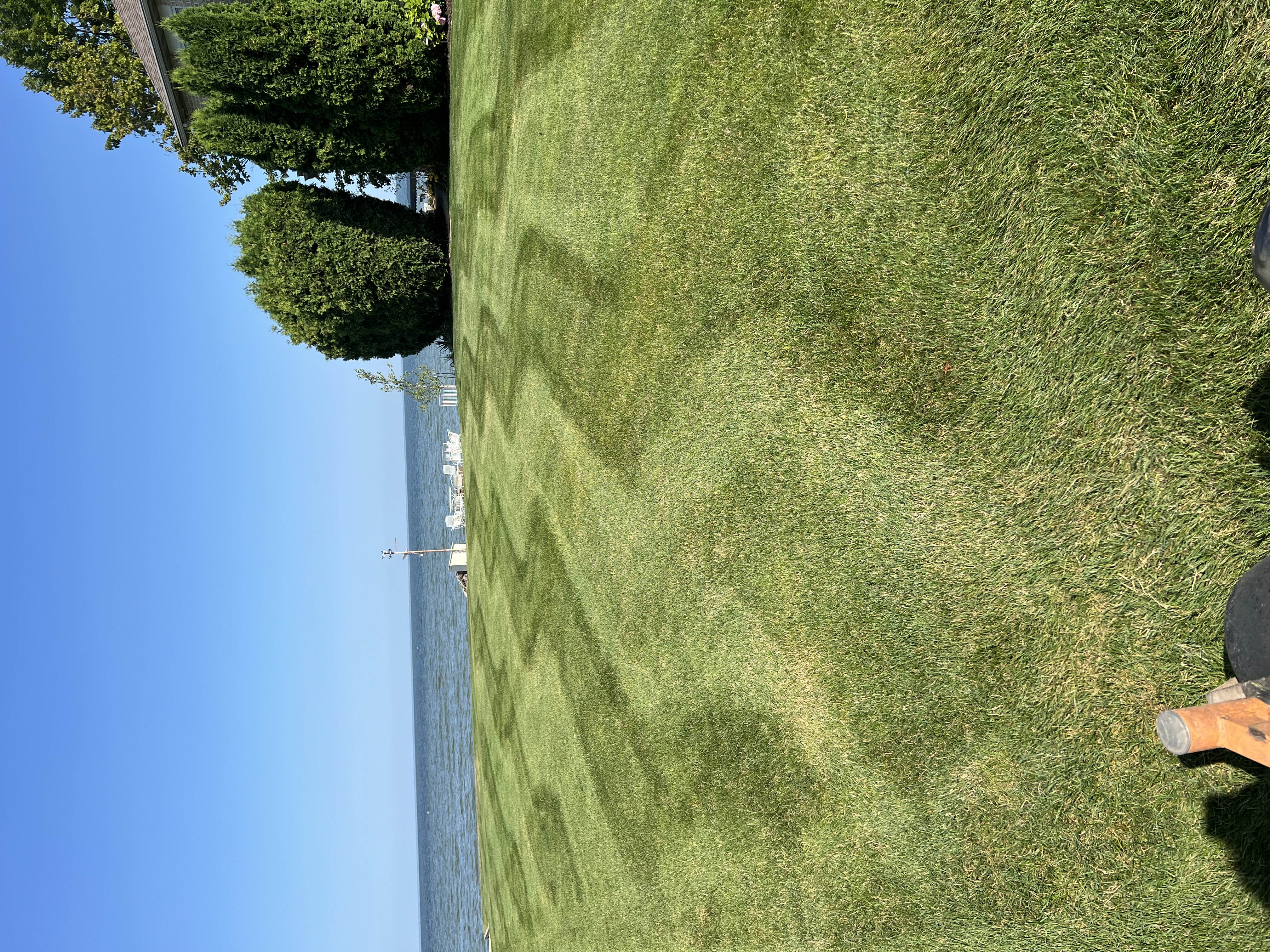 Avatar for D1 Enterprises