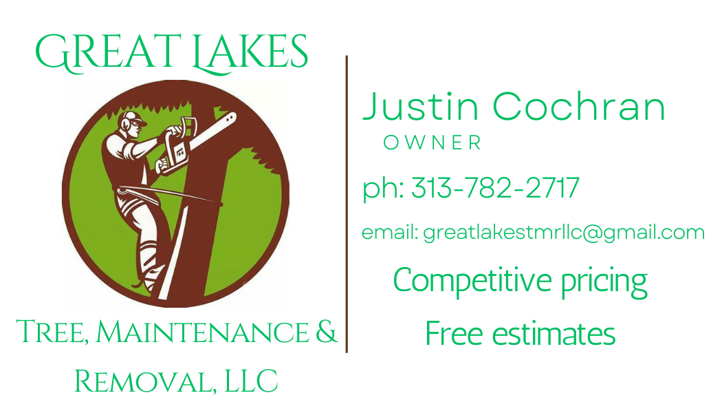 Avatar for Great Lakes Tree, Maintenance & Removal, LLC