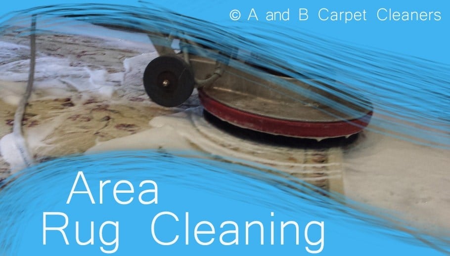 Avatar for A and B Carpet Cleaners