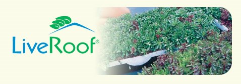 Avatar for SCOTT LANDSCAPE DESIGN, INC.