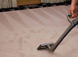 Professional Carpet Cleaning