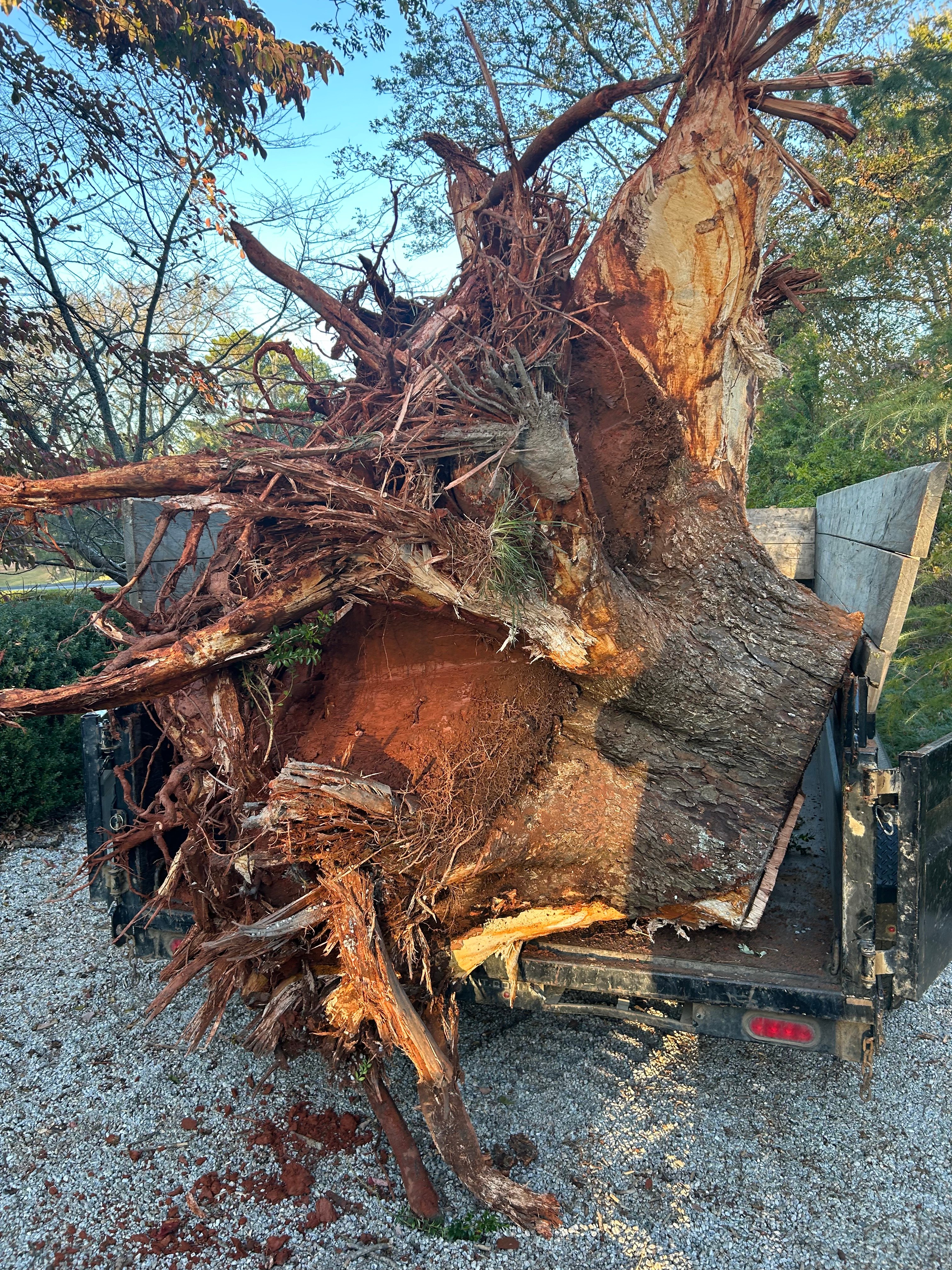 Avatar for Dutch Richards