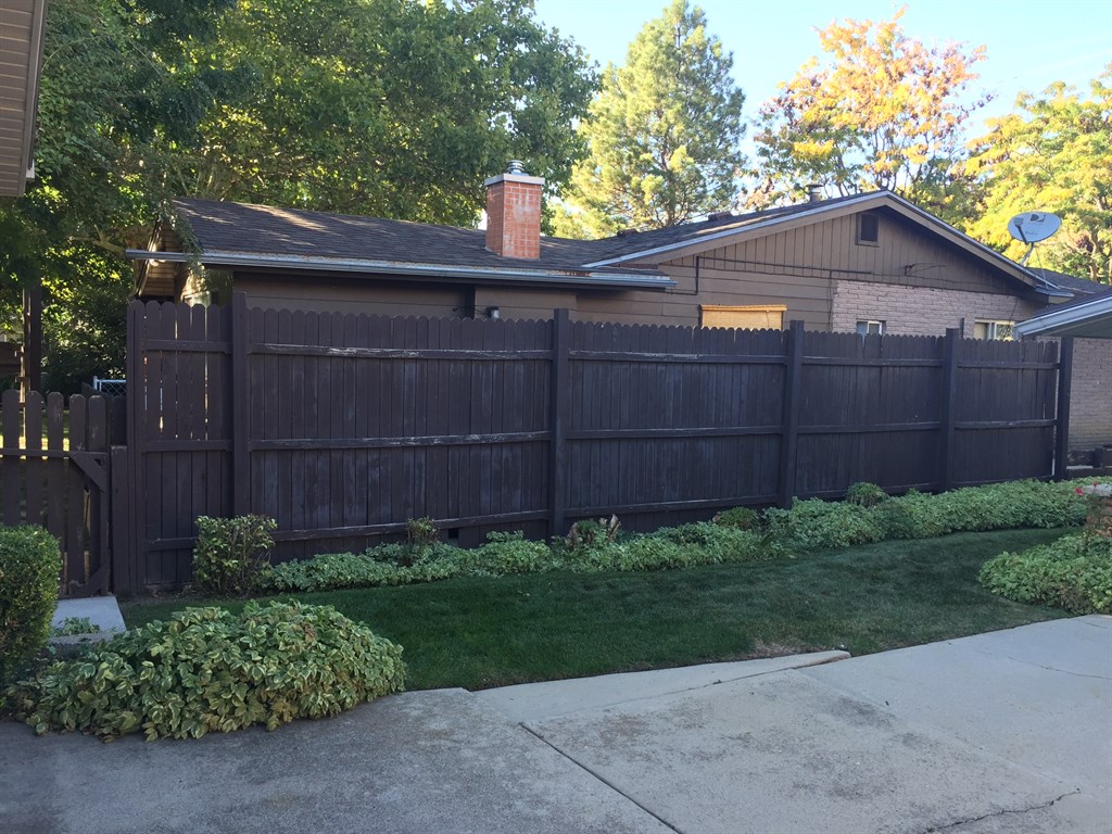 Before Picture