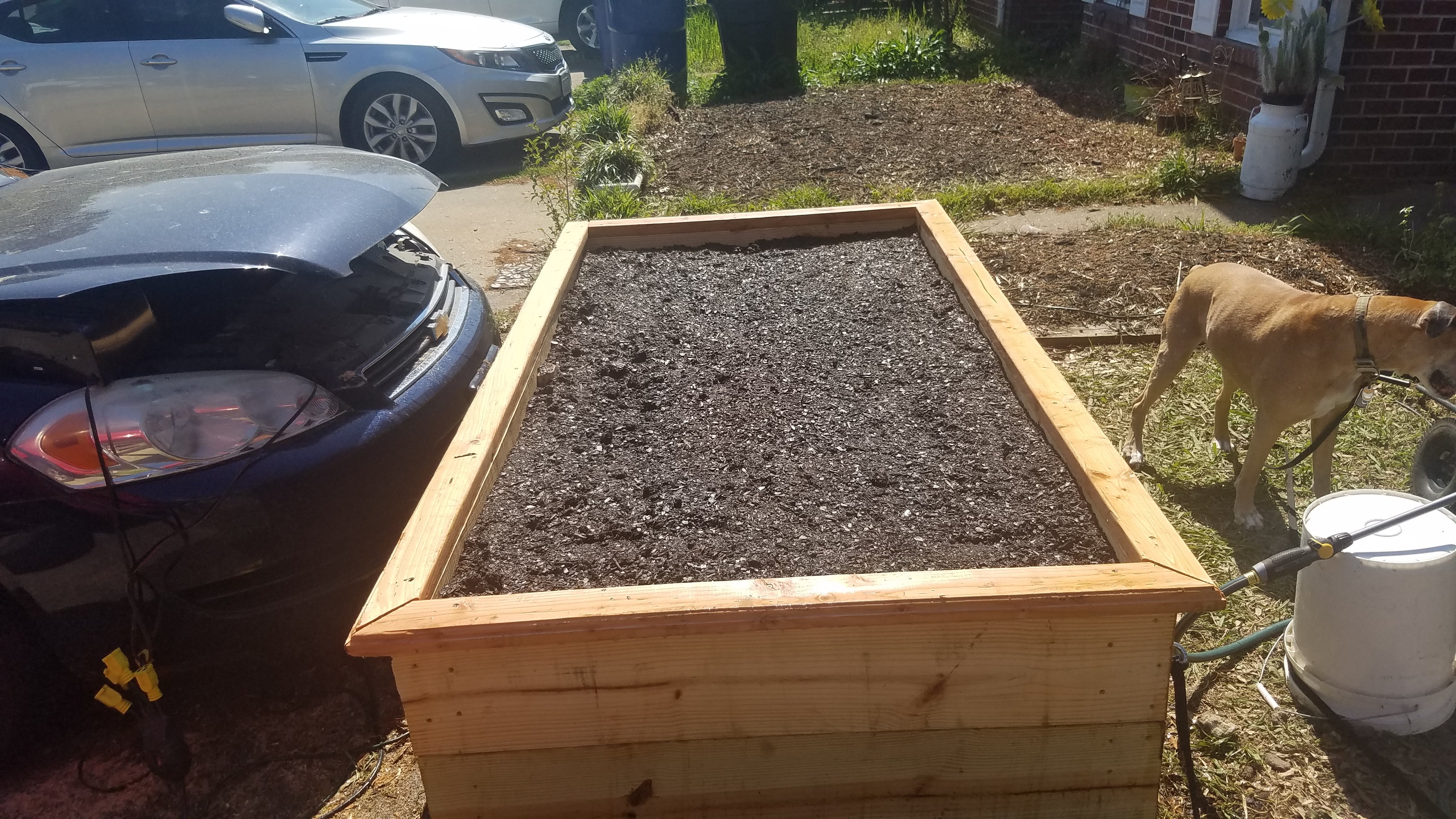 Avatar for ABP Landscape