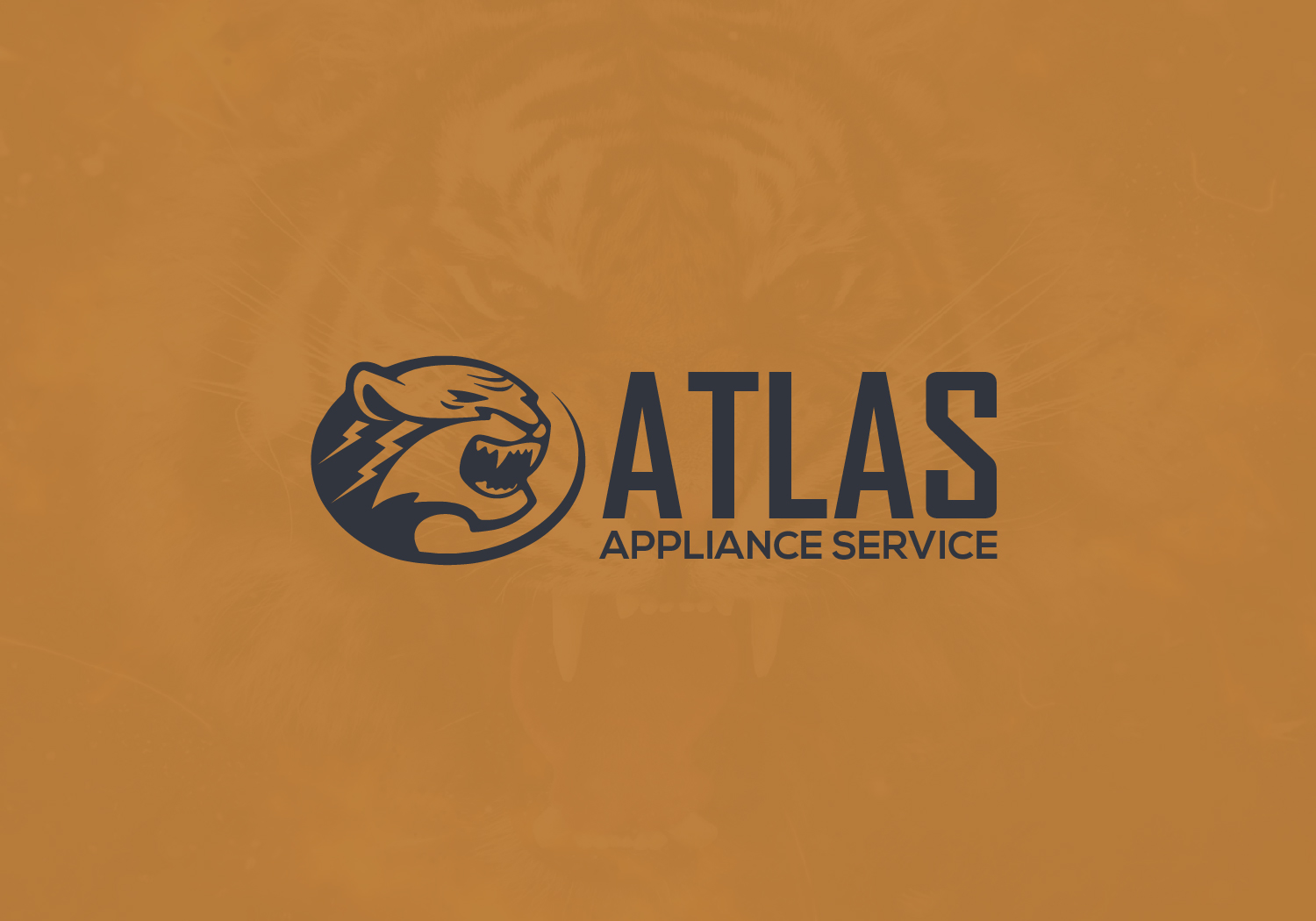 Avatar for Atlas Appliance Service