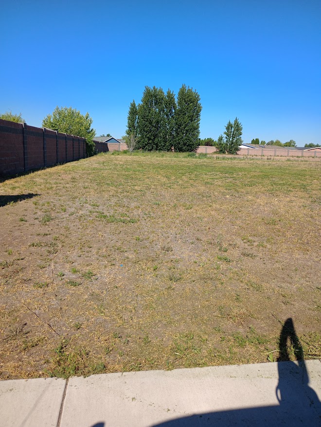 Avatar for Mainmen llc