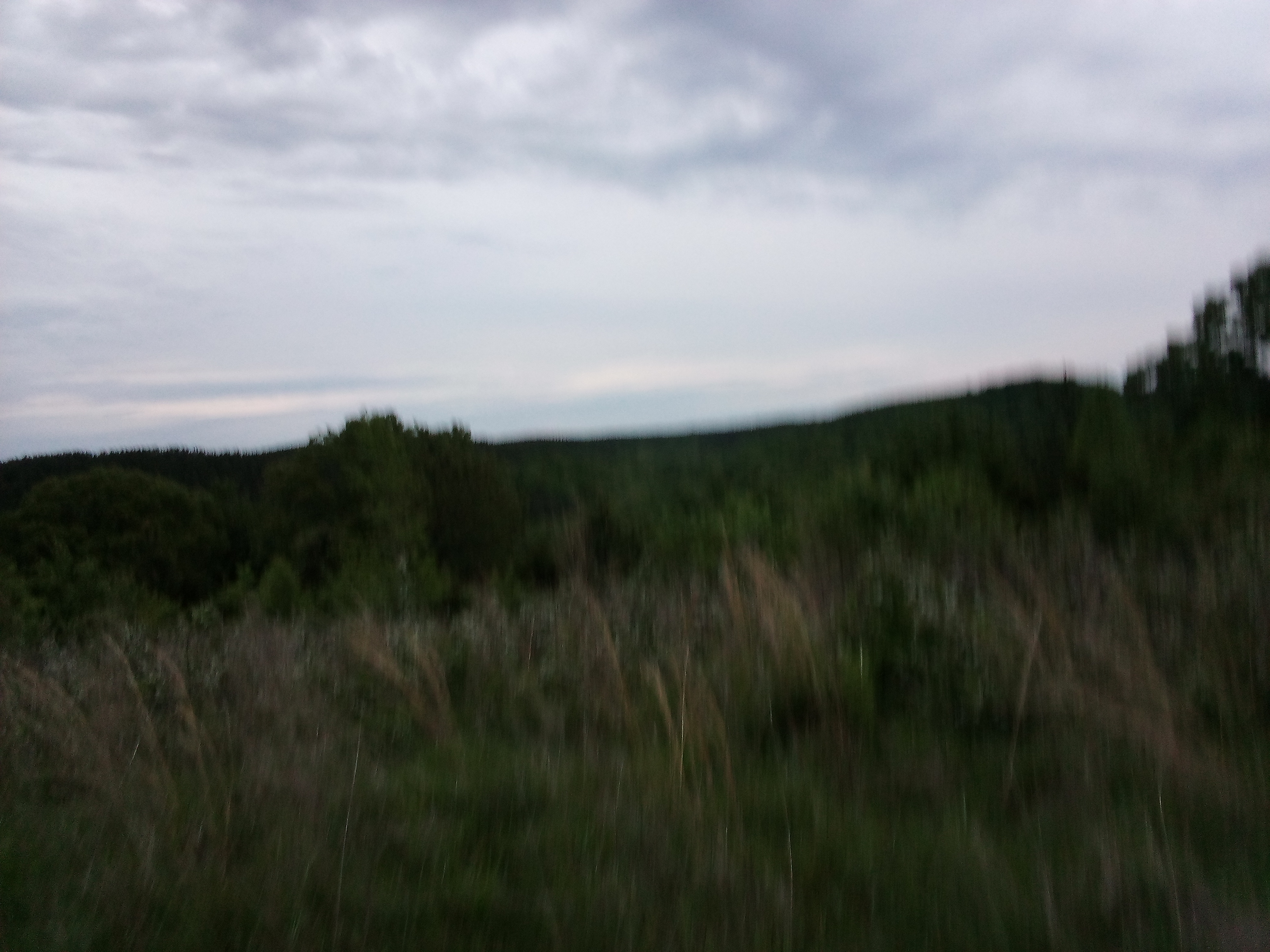 Avatar for Josh of al trades