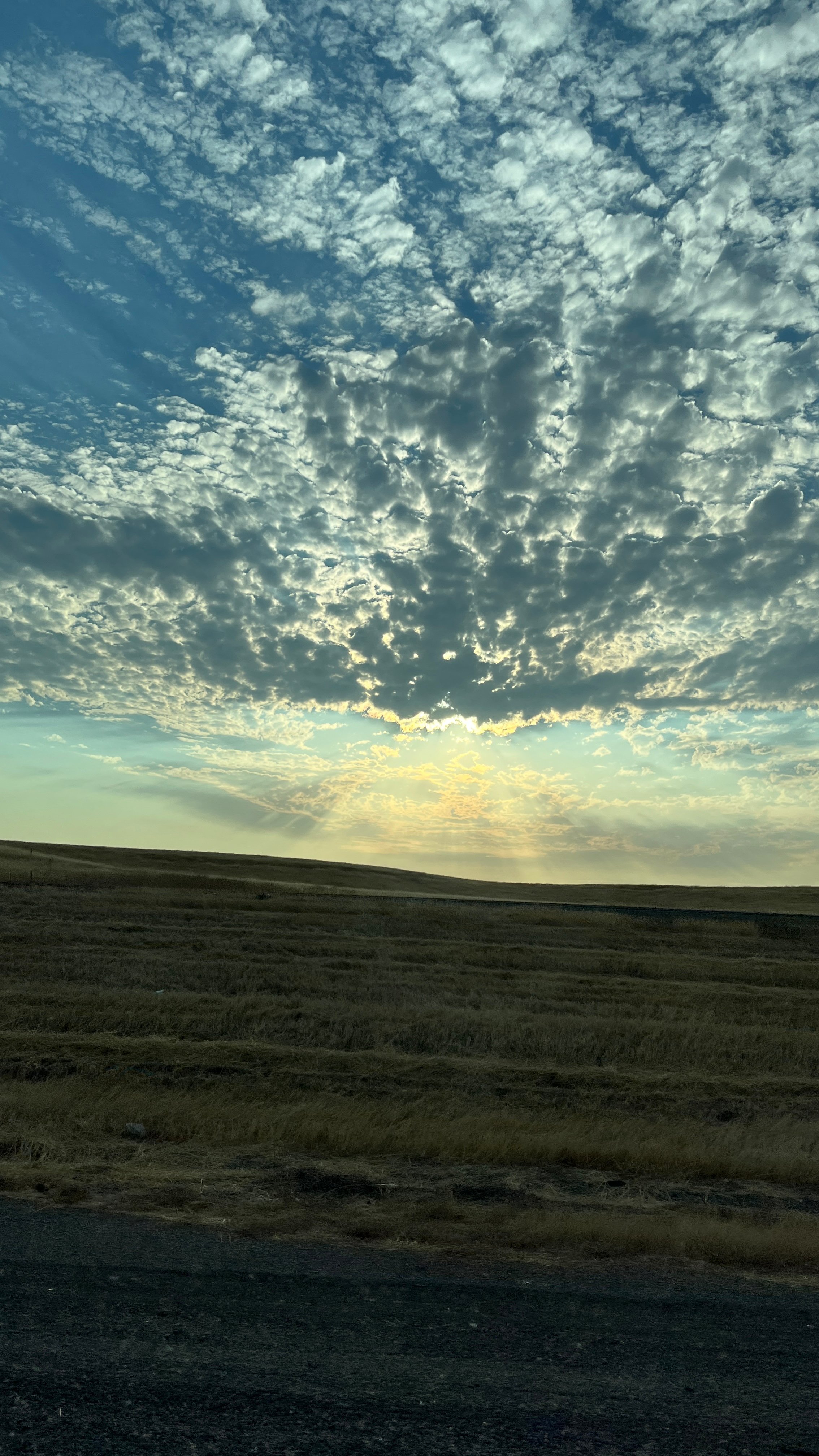 Avatar for Tubera Handycraftsman