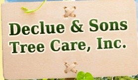 Logo for Declue & Sons Tree Svc