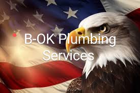 Avatar for B-OK Plumbing Services