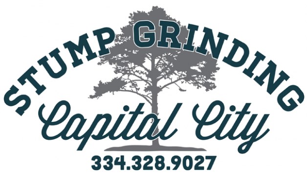 Avatar for Capital City Stump Grinding