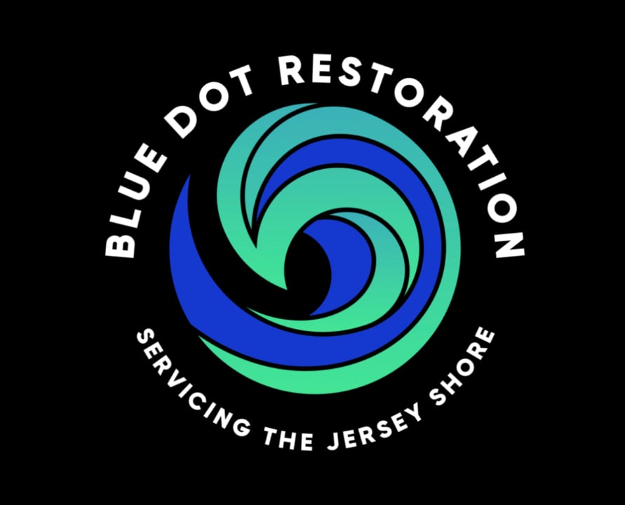 Avatar for Blue Dot Restoration